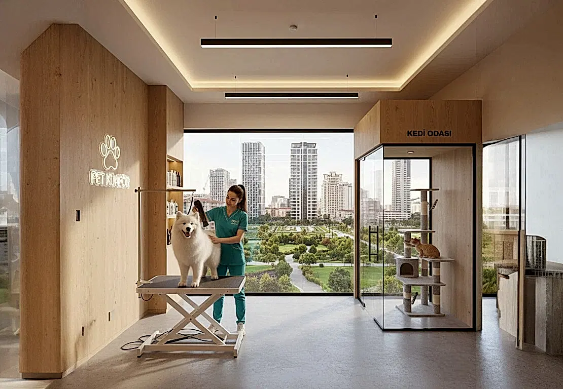 Ataşehir Pet Kuaför